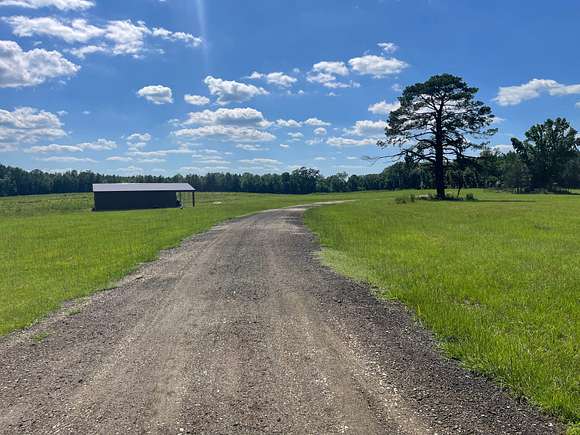 66 Acres of Land with Home for Sale in Robeline, Louisiana