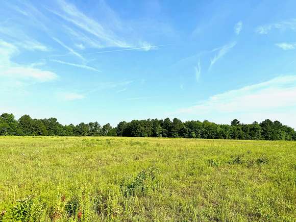 6 Acres of Recreational Land for Sale in Pike Road, Alabama