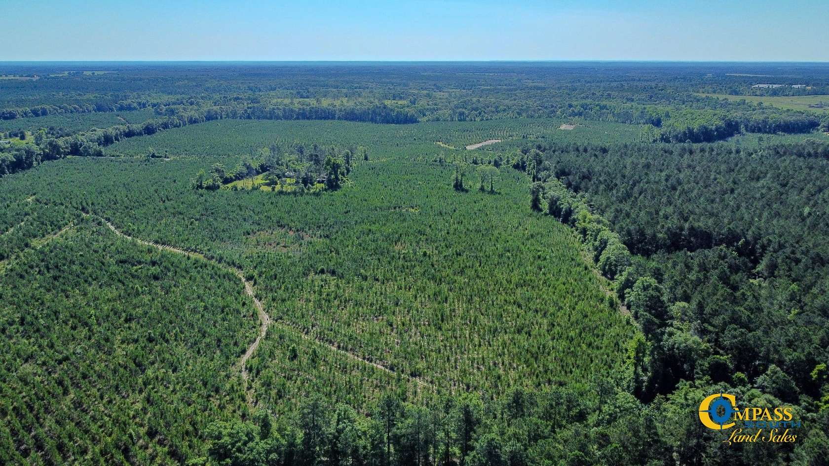 20 Acres of Recreational Land for Sale in Ideal, Georgia