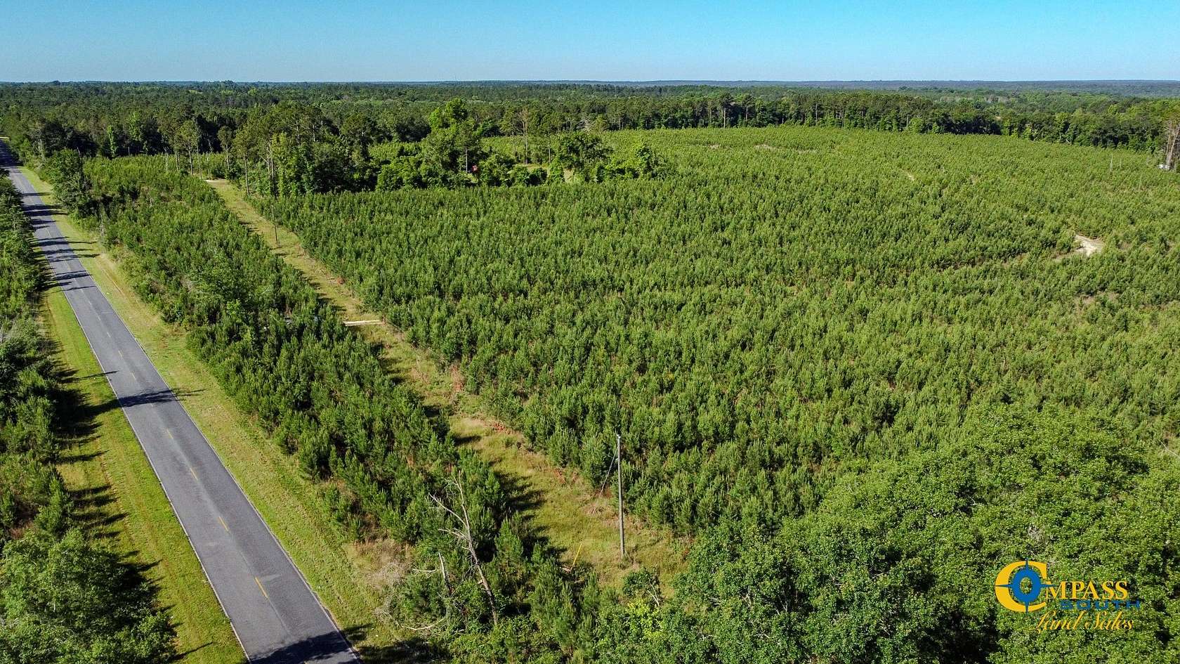 46 Acres of Recreational Land for Sale in Ideal, Georgia