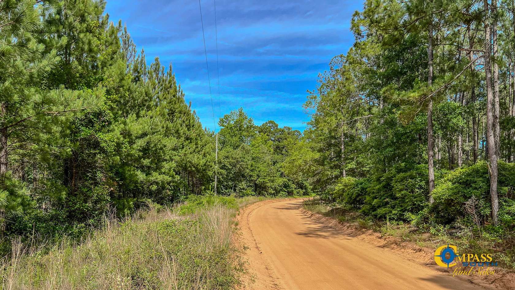 22 Acres of Recreational Land for Sale in Mauk, Georgia