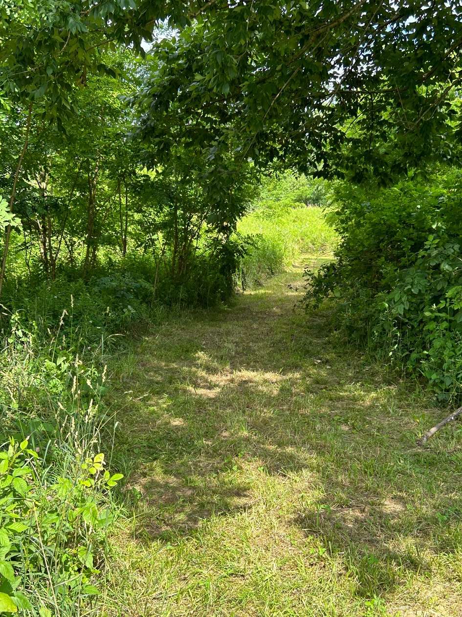 Somerset, KY Hunting Land for Sale - 15 Properties - LandSearch