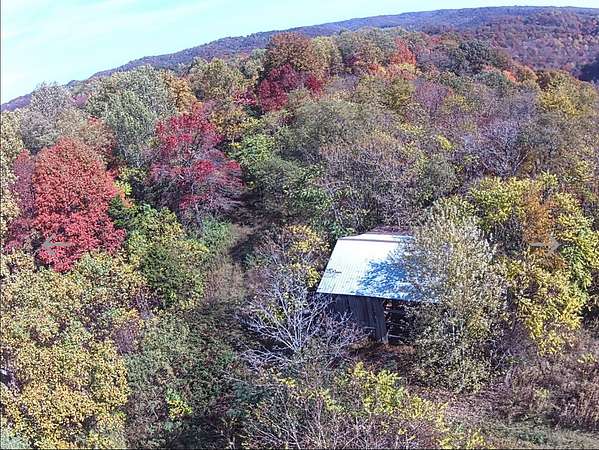 41 Acres of Recreational & Residential Land for Sale in Liberty, Kentucky