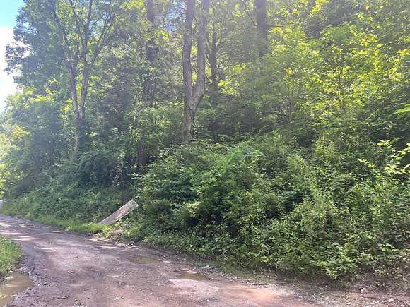 0.82 Acres of Land for Auction in Big Chimney, West Virginia