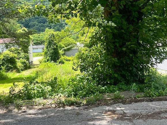 0.16 Acres of Land for Auction in Charleston, West Virginia