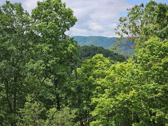 95.46 Acres of Recreational Land & Farm for Sale in Hinton, West Virginia