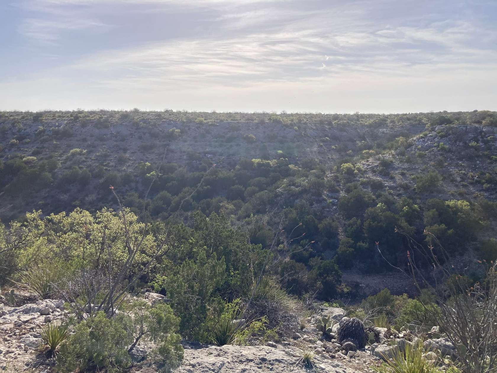 7543 Acres of Recreational Land & Farm for Sale in Dryden, Texas