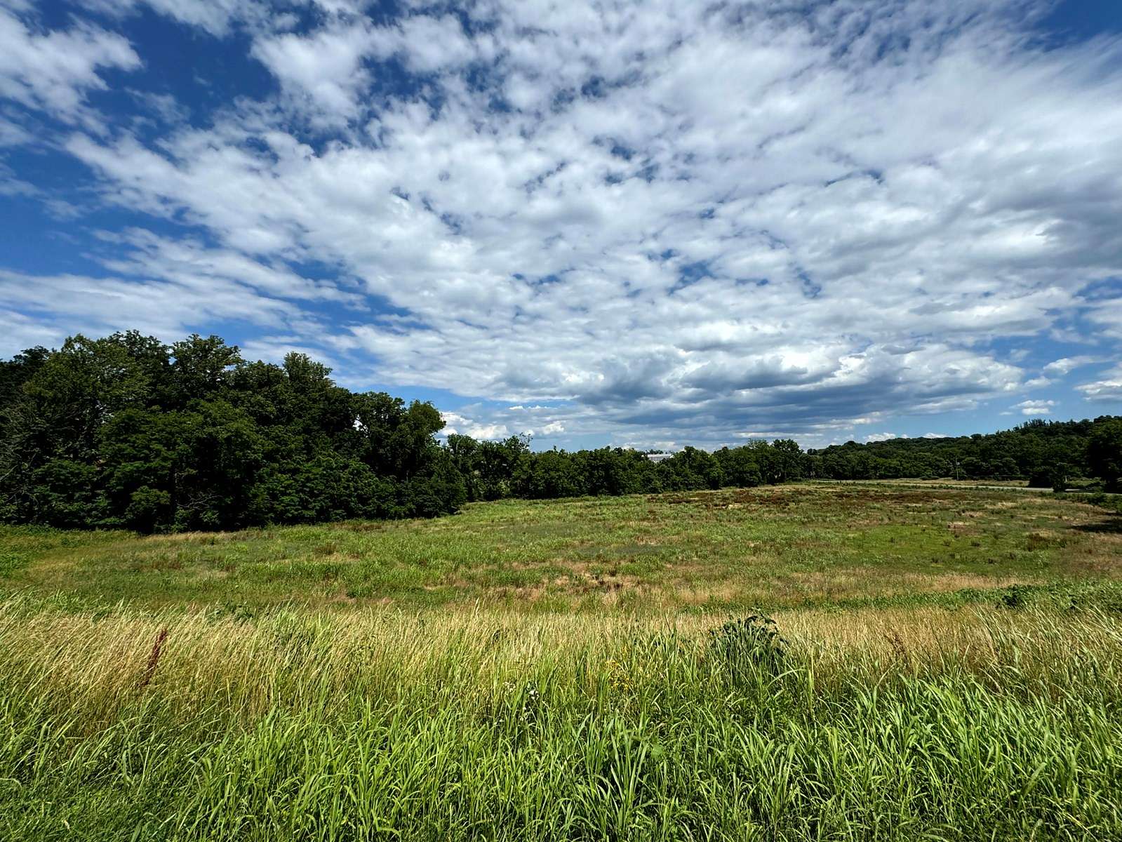 5.2 Acres of Recreational Land & Farm for Sale in Stuart, Virginia
