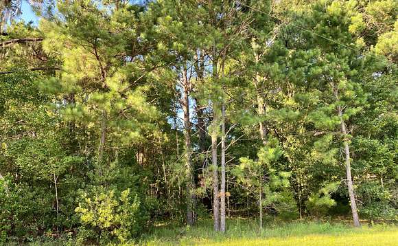 1.99 Acres of Residential Land for Sale in Jennings, Florida