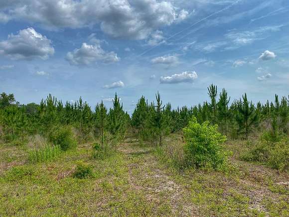 13.055 Acres of Land for Sale in Bell, Florida