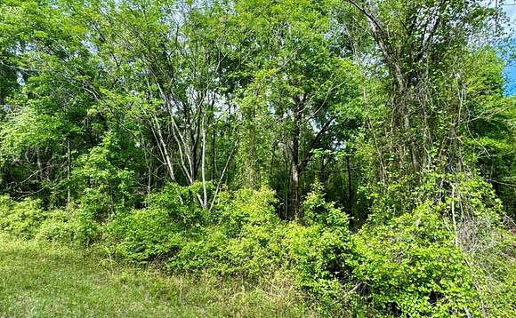 1.3 Acres of Residential Land for Sale in Jennings, Florida