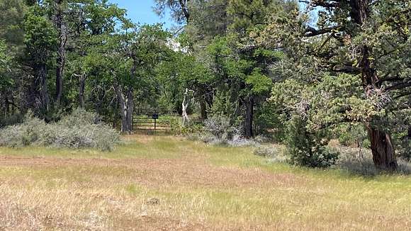 20.05 Acres of Recreational Land & Farm for Sale in McArthur, California