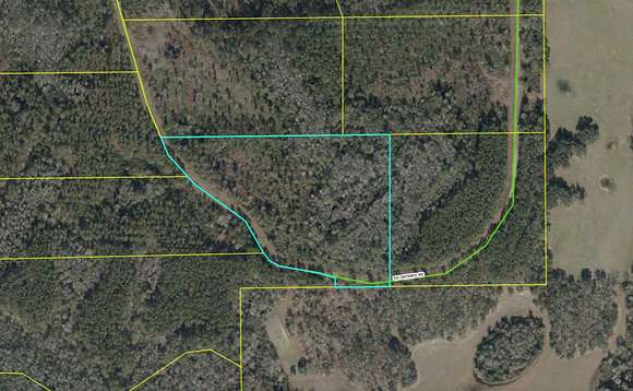 10.5 Acres of Land for Sale in Madison, Florida
