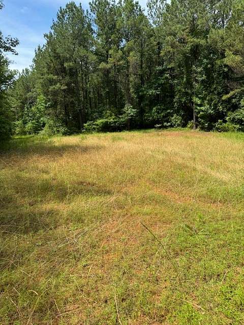 60 Acres of Land for Sale in Greensboro, Alabama