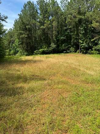 60 Acres of Land for Sale in Greensboro, Alabama