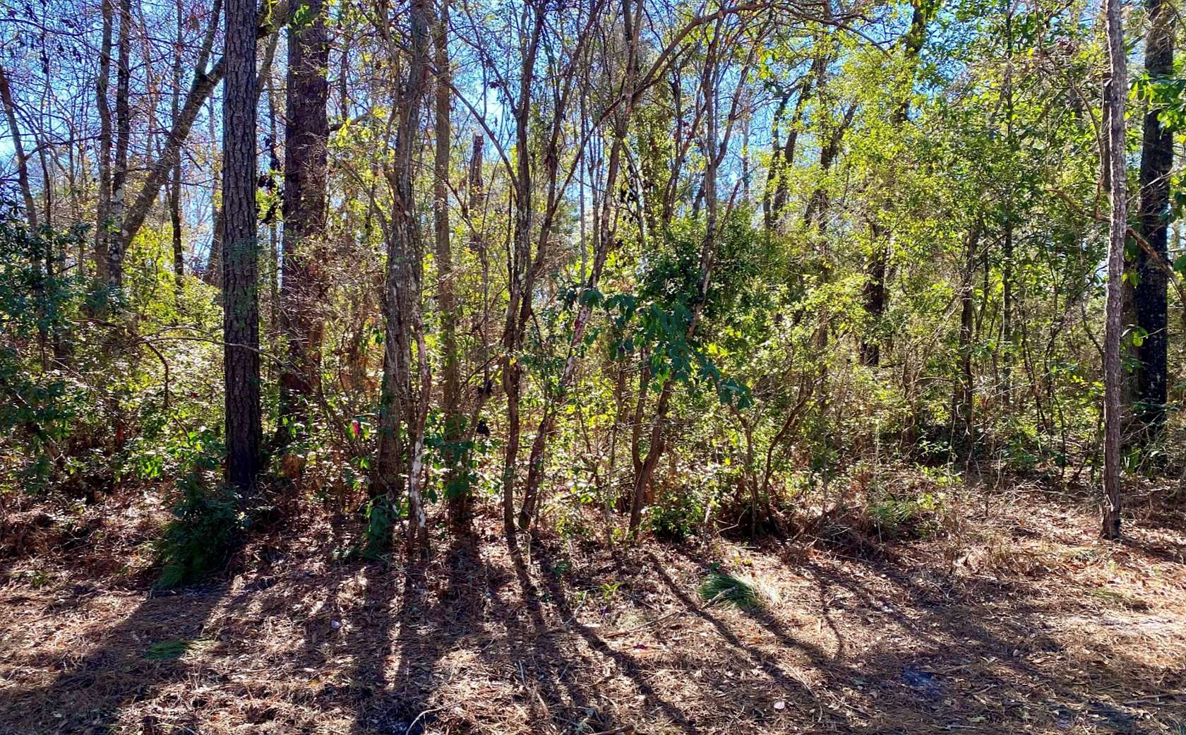 1.03 Acres of Land for Sale in Jasper, Florida