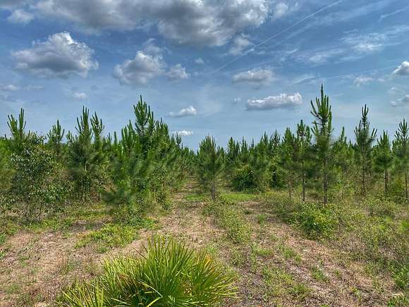 26.11 Acres of Land for Sale in Bell, Florida