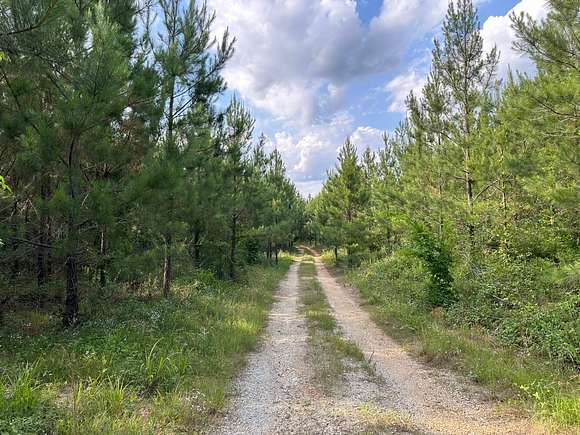 191.67 Acres of Recreational Land for Sale in Bartow, Georgia