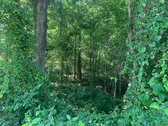 40 Acres of Recreational Land for Sale in Delhi, Louisiana