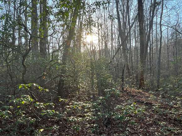 33.16 Acres of Land for Sale in Marion, North Carolina