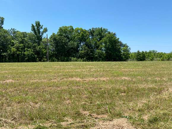 85 Acres of Recreational Land for Sale in St. Joseph, Louisiana