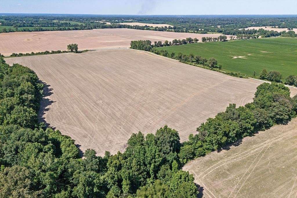 69.65 Acres of Agricultural Land for Sale in Mason, Tennessee