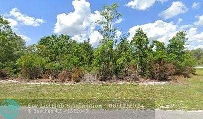 0.995 Acres of Residential Land for Sale in Avon Park, Florida
