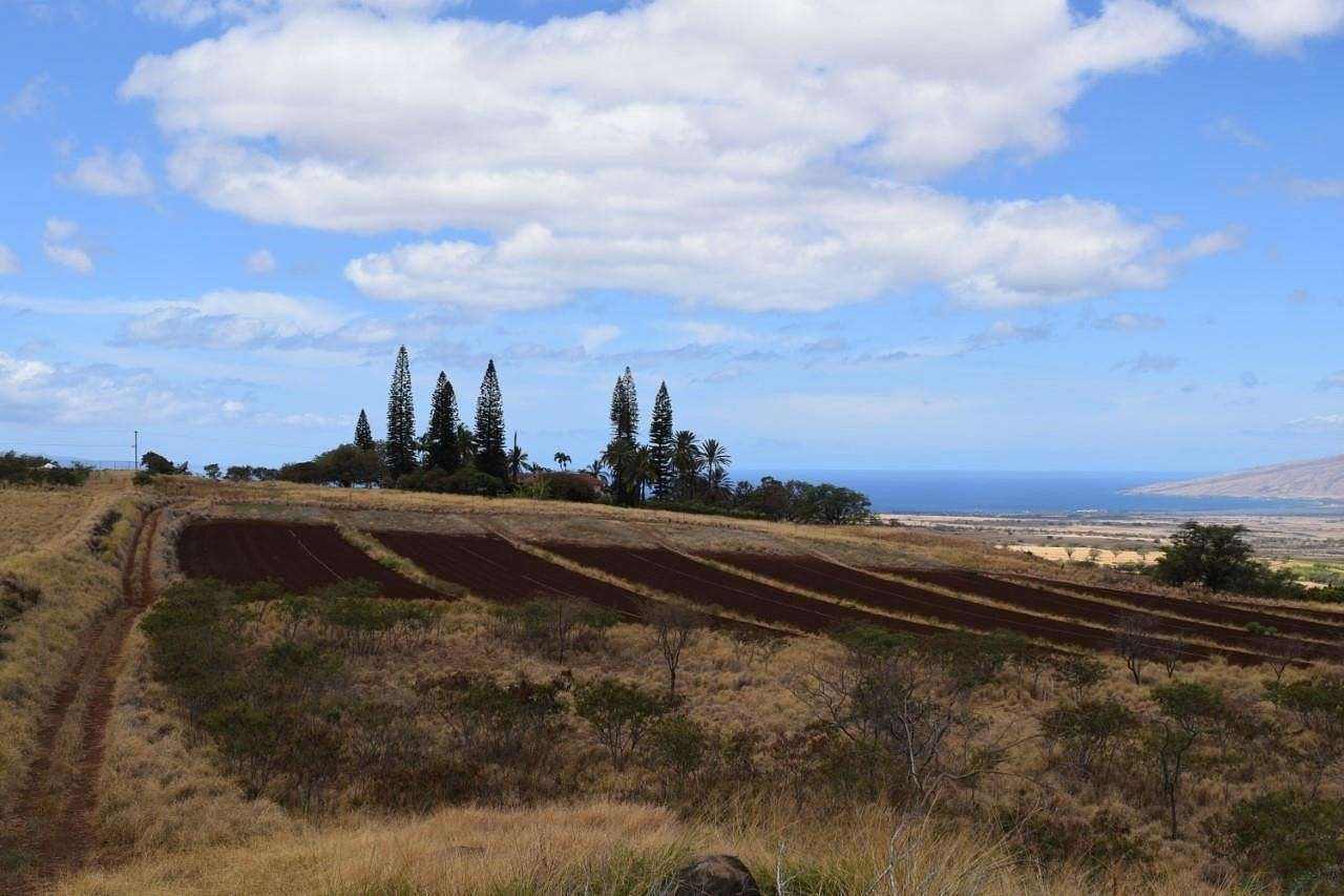 8.473 Acres of Land for Sale in Kula, Hawaii