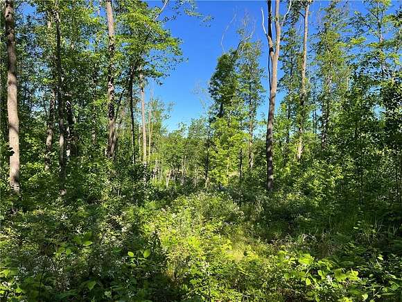25.34 Acres of Recreational Land for Sale in Stone Lake, Wisconsin