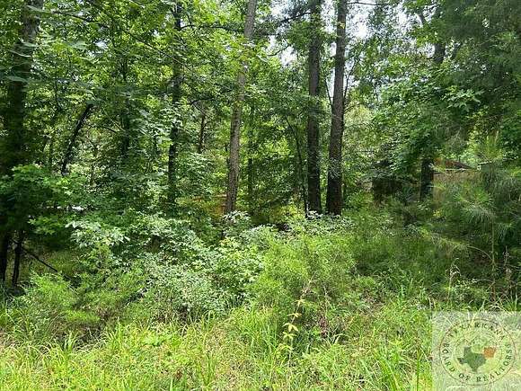 0.09 Acres of Residential Land for Sale in Avinger, Texas