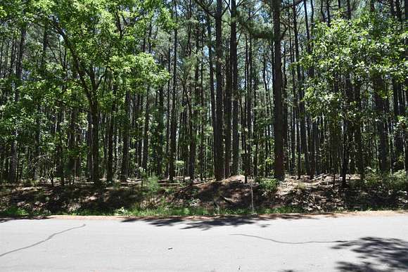 0.22 Acres of Residential Land for Sale in Hot Springs Village, Arkansas