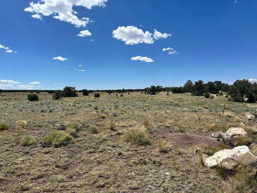 9.87 Acres of Residential Land for Sale in Quemado, New Mexico