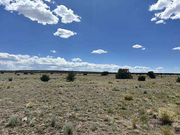 9.87 Acres of Residential Land for Sale in Quemado, New Mexico