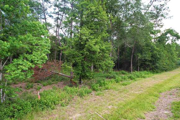 4.25 Acres of Residential Land for Sale in Kirbyville, Texas