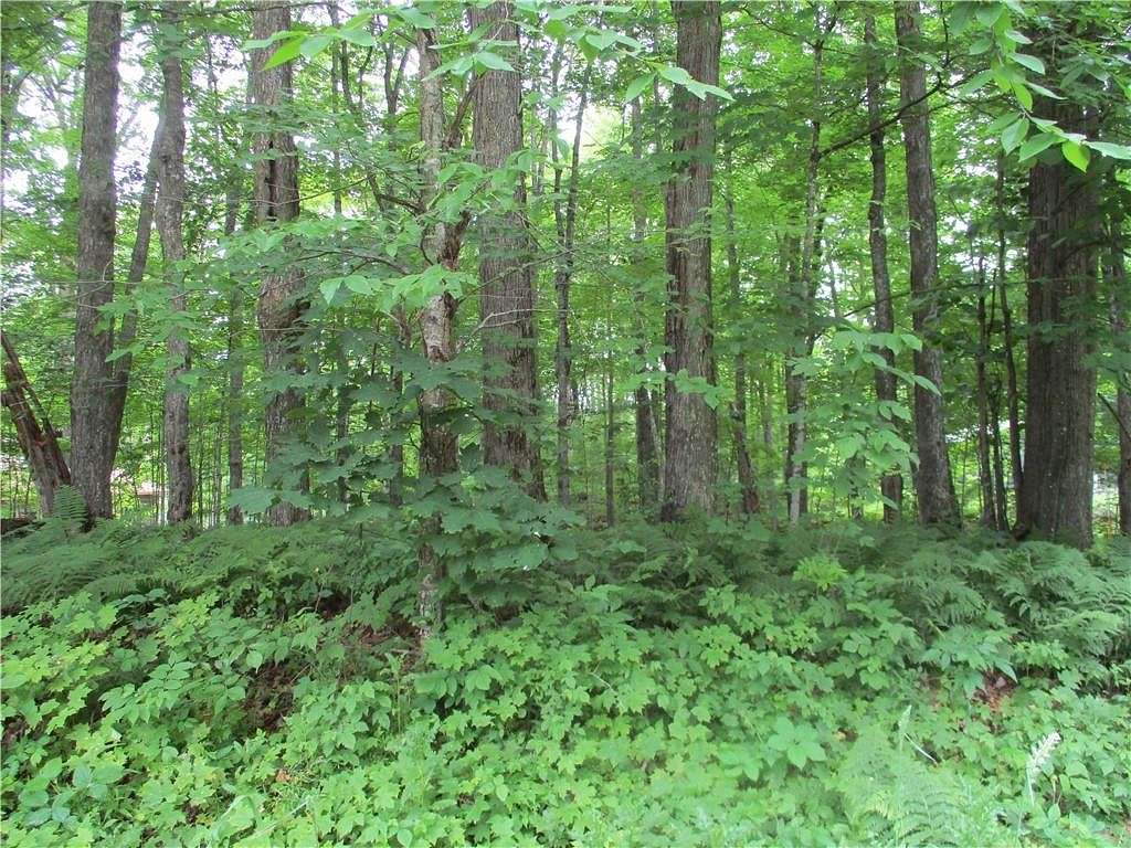 0.921 Acres of Residential Land for Sale in Birchwood, Wisconsin