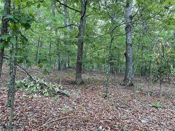22 Acres of Land for Sale in Yellville, Arkansas