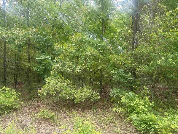 0.3 Acres of Residential Land for Sale in Cherokee Village, Arkansas