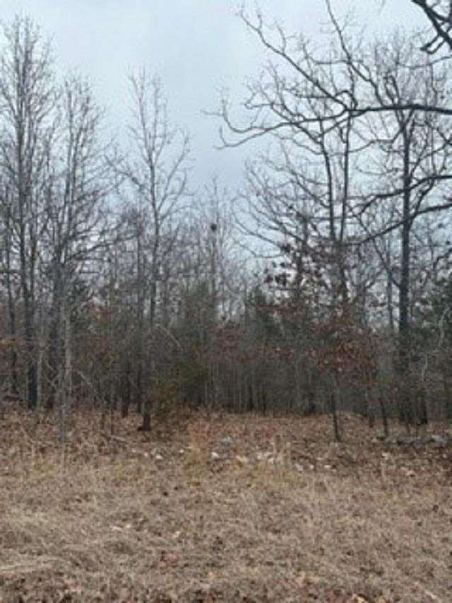 2.69 Acres of Residential Land for Sale in Mountain Home, Arkansas