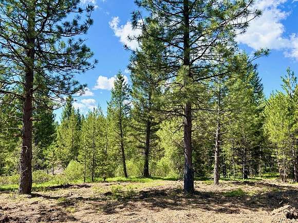 2.04 Acres of Residential Land for Sale in Cascade, Idaho