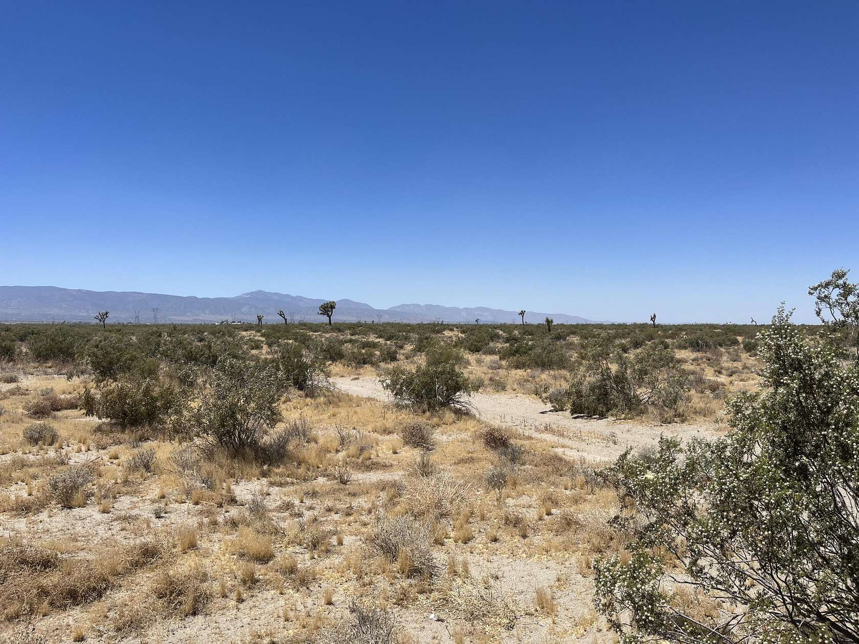 Residential Land for Sale in Adelanto, California