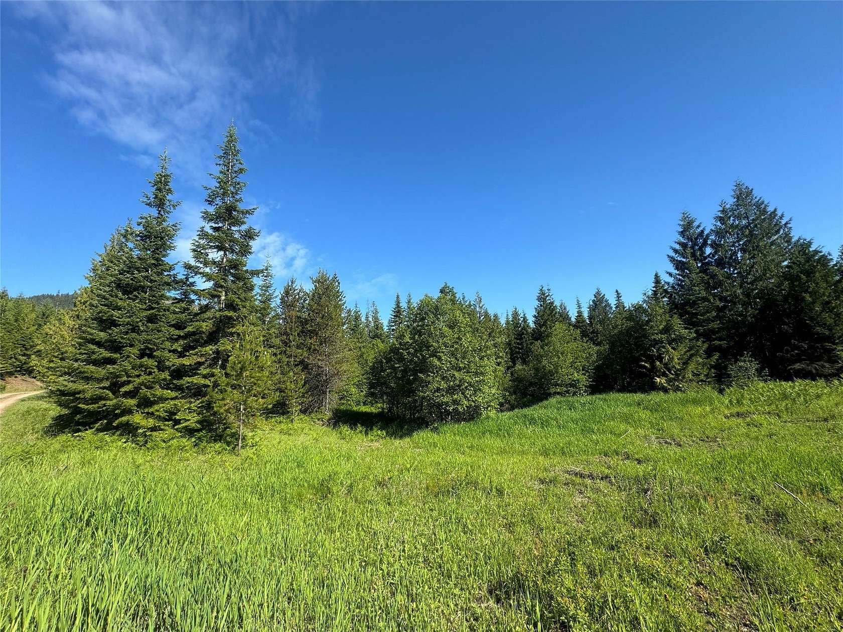 10.38 Acres of Recreational Land for Sale in Heron, Montana