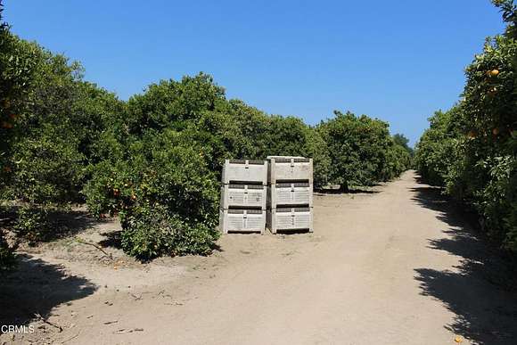 9.09 Acres of Agricultural Land for Sale in Fillmore, California