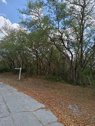 0.26 Acres of Residential Land for Sale in Kissimmee, Florida