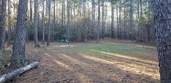 77.3 Acres of Recreational Land for Sale in Picayune, Mississippi