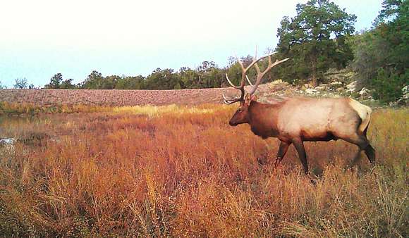 640 Acres of Recreational Land & Farm for Sale in Thoreau, New Mexico