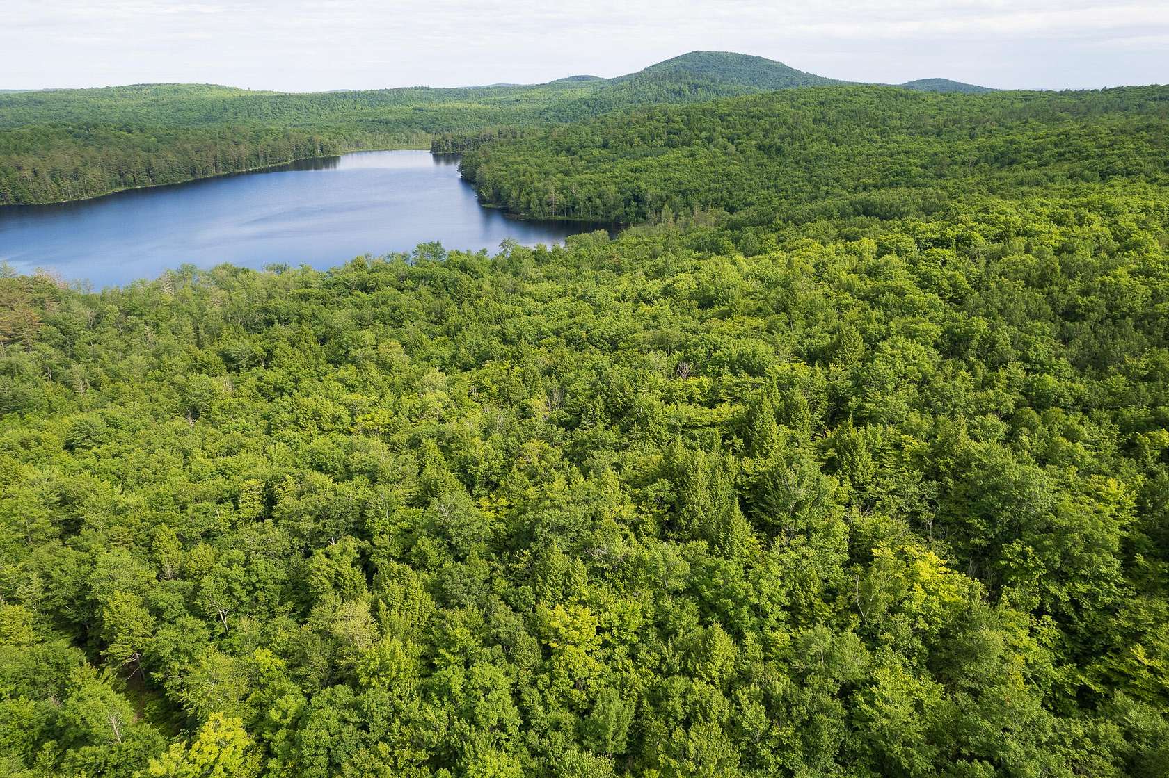 99.1 Acres of Recreational Land for Sale in Jay, Maine