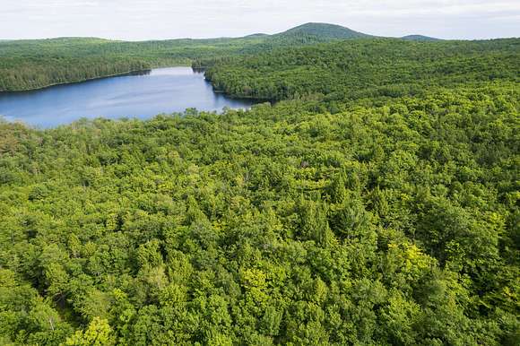 99.1 Acres of Recreational Land for Sale in Jay, Maine