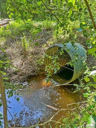 12 Acres of Land for Sale in Warfield, Virginia