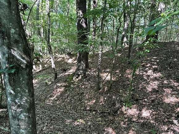 0.728 Acres of Residential Land for Sale in Eva, Tennessee