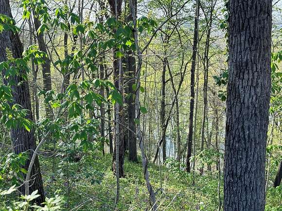 4.049 Acres of Residential Land for Sale in Augusta, Kentucky